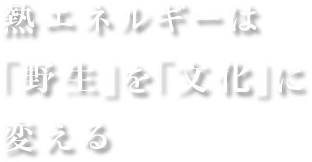 熱エネルギーは「野生」を「文化」に変える